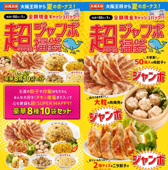王将餃子の通販に期間限定夏の福袋があるって知ってた？