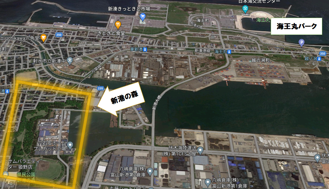 富山新港花火大会2023(新湊 海王丸パーク)穴場① 新湊の森